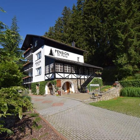 Pension St. Moritz Železná Ruda Eksteriør bilde