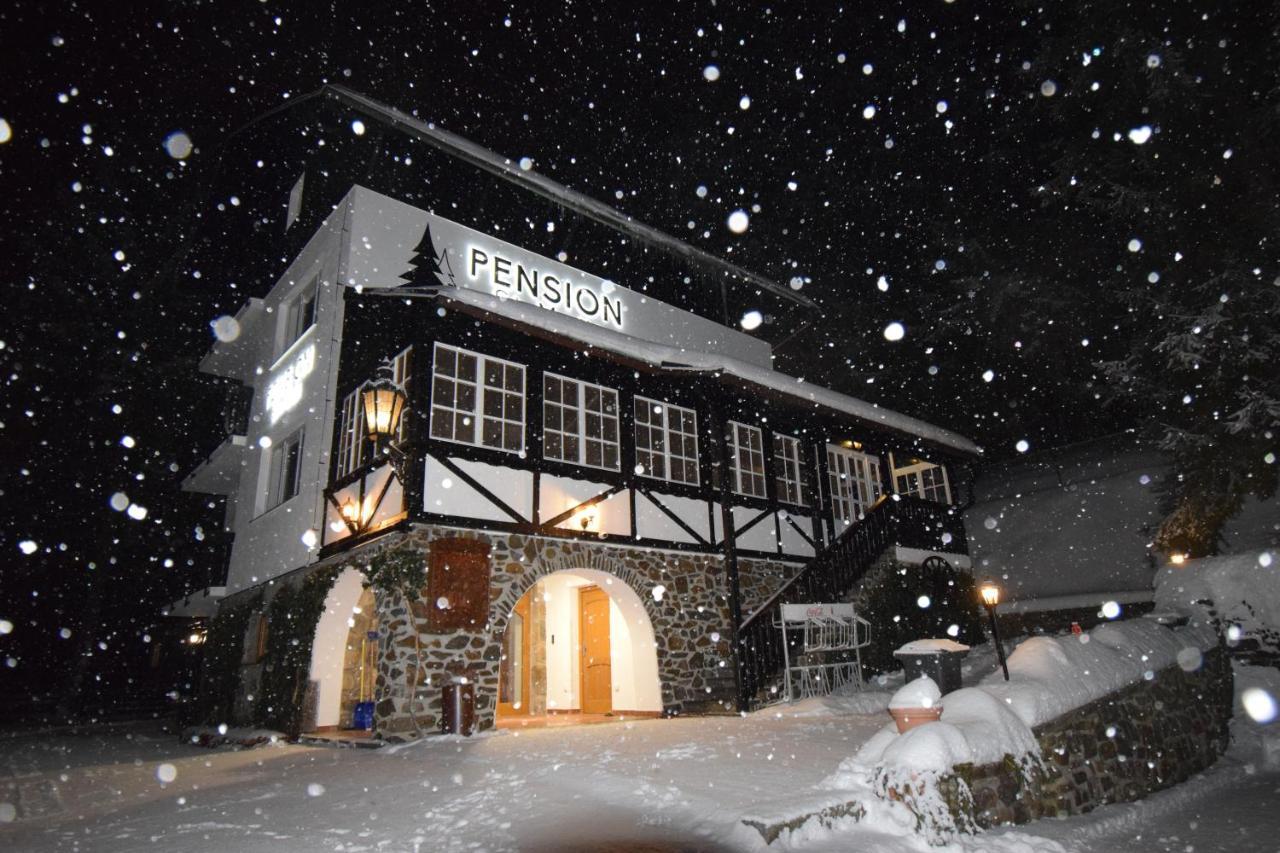 Pension St. Moritz Železná Ruda Eksteriør bilde